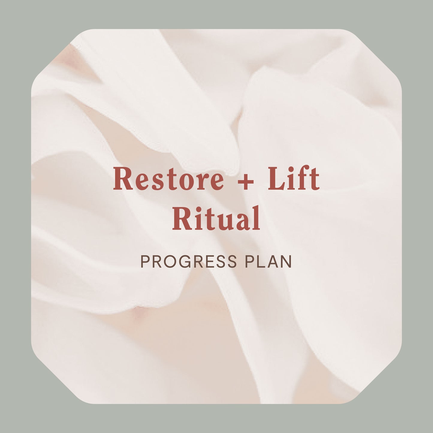 Lift + Restore Ritual - Progress Plan (Doctor's Price)