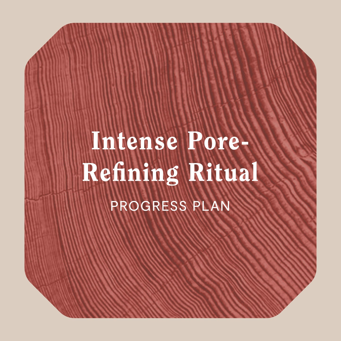 Intense Pore-Refining Ritual - Progress Plan