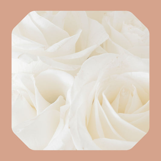 Deep Pore-Cleansing Facial - Single Session